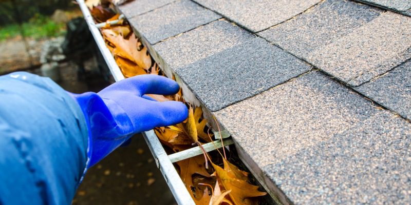 Five Reasons Why Professional Gutter Cleaning Is Worth the Hype